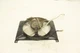 Kawasaki Mule 3010 05 Fan front 59502-1137 51281