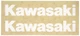 Factory Effex Kawasaki Fork/Swingarm Decals (09-44112)