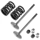 2x Intake Valve Kit for Yamaha 5VK-12111-00-00 5VK-12113-00-00 4G0-12118-00-00