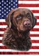 Chesapeake Bay Retriever All-American III Flag