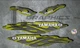 Yamaha Zuma Chuma Graphic Kit