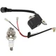 FOLIAGE for Ignition Coil for Husqvarna 23 26 36 136 137 141 142 Chainsaw