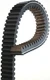 Gates 19G3332 CVT Drive Belt