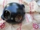 KAWASAKI F3 F4 F7 F8 HEADLIGHT BUCKET NOS OEM PT # 23005-021-21 OM2
