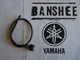 Yamaha Banshee Wiring Wire #2  Electrical Engine Motor