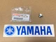 04-24 KODIAK GRIZZLY 450 350 400 STRAIGHT SCREW PLUG OEM YAMAHA 🔥FAST SHIP🔥 X