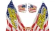 Pro Circuit T-6 Exhaust Decal - Stars and Stripes - DC22T6-SS