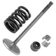 Intake Valve Kit for Yamaha 5VK-12111-00-00 1S3-12113-00-00 5H0-12119-00-00