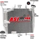 Aluminum Radiator For 2017-2023 Triumph Street Triple 660 765 R RS T2103251