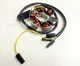 Beta RK50 RR50 RK RR 50 Supermotard Tuono Generator Stator Plate Alternator AM6