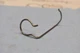 New Polaris OEM Fuel pump retainer clip 5334291 Victory clip