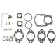 Carburetor Repair Kit for Country Sedan, Country Squire, Custom+More 901