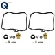 LABLT 2pcs Carburetor Repair Rebuild Kit For Yamaha XV250 Virago XVS650 V-Star