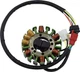 RICK'S MOTORSPORT ELECTRIC 21-825 OE Style Stator - Suzuki
